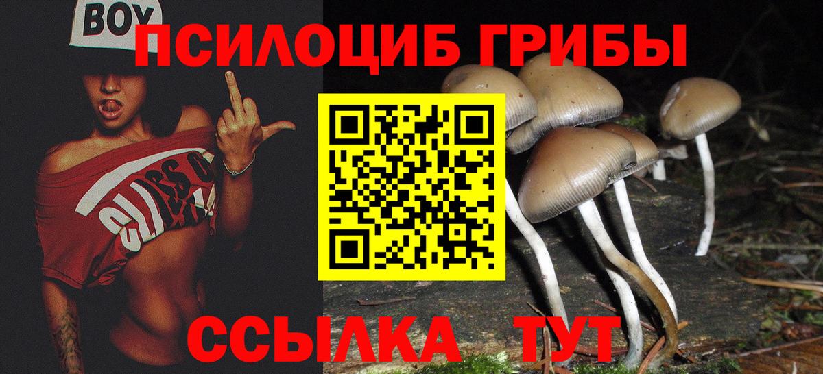 Иваново  Псилоцибиновые грибы MAGIC MUSHROOMS  Галлюциногенные грибы Psilocybe  Вход с VPN 